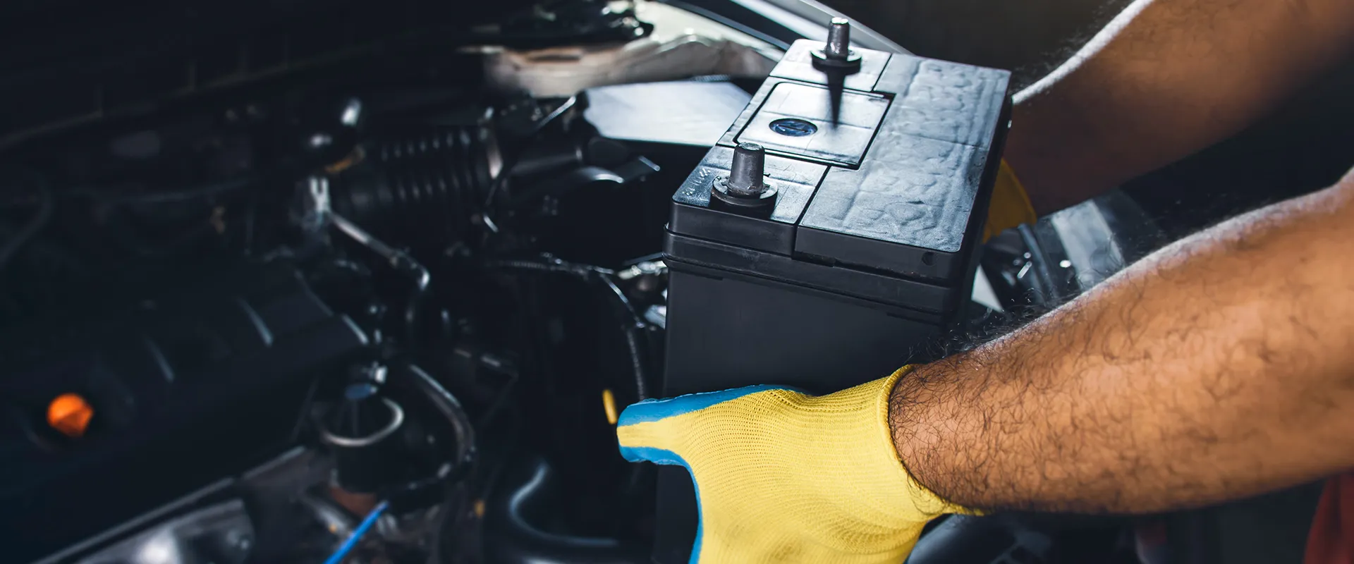 Battery, Starter & Alternator near Sarasota, FL