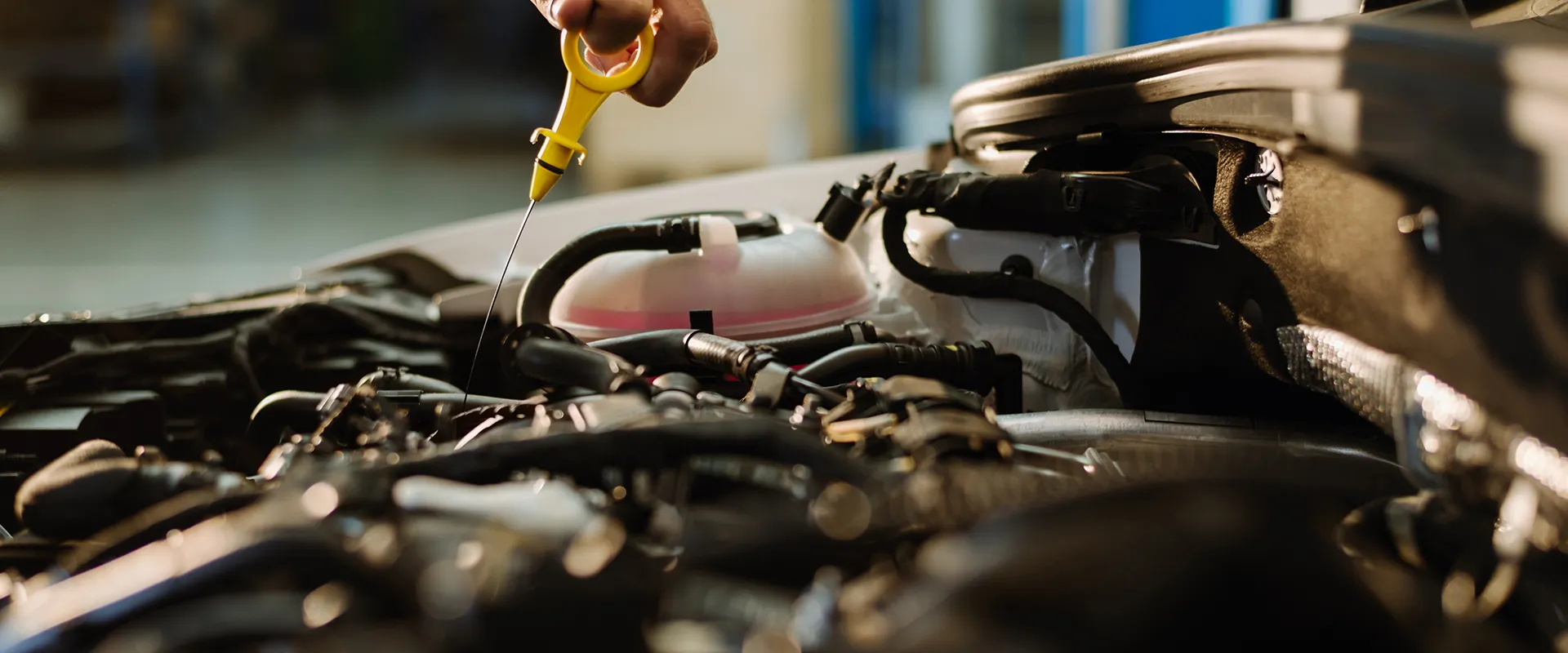Oil Changes near Sarasota, FL