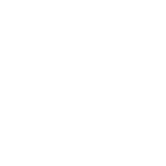 veteran owned 01